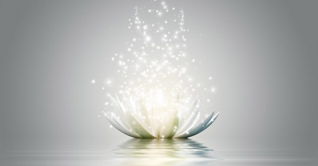 Shining-Lotus-Flower-Wallpaper